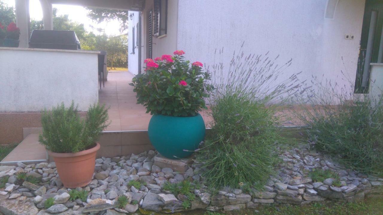 Apartmani Bauk Πόρετς Εξωτερικό φωτογραφία